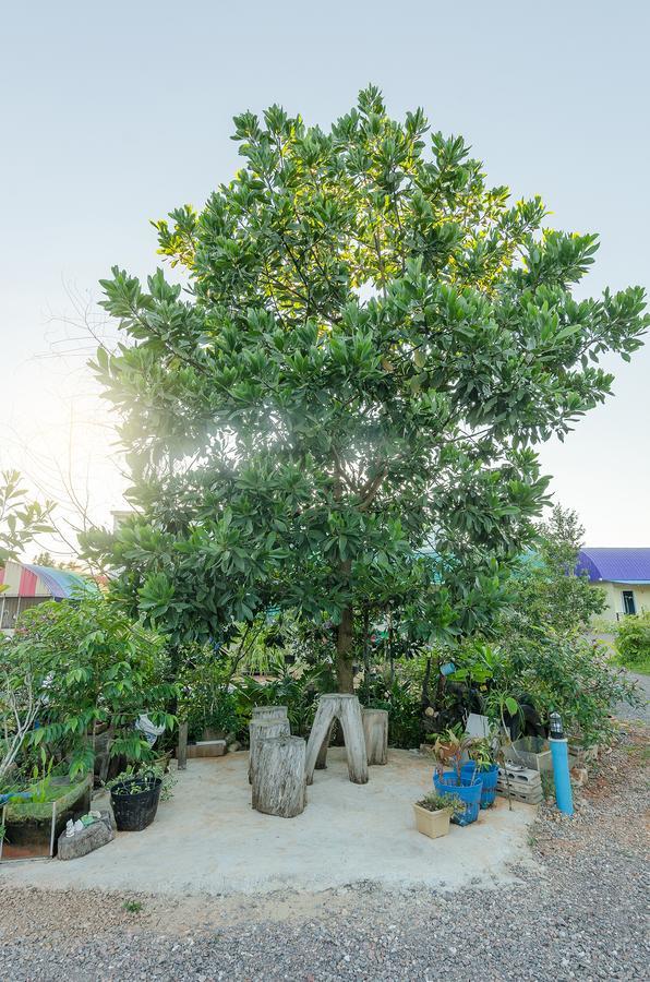 Ariya Garden Home Chumphon Ngoại thất bức ảnh